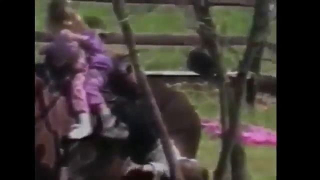 SUPER DAD - Отец спасает своих детей в последнюю секунду #СУПЕРПАПА смотреть онлайн