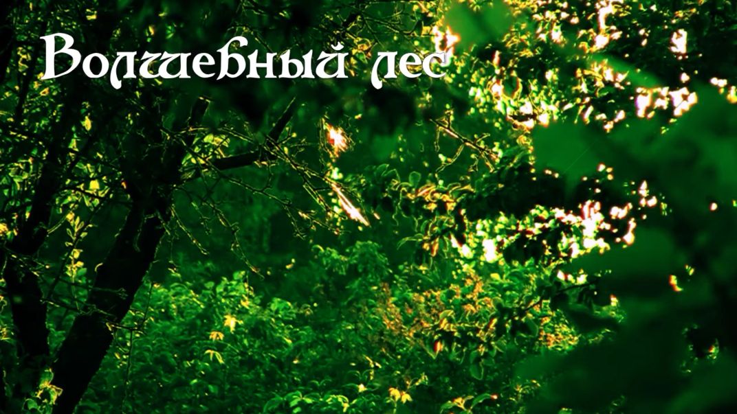 Волшебный лес. Дачные картинки 2023. смотреть онлайн