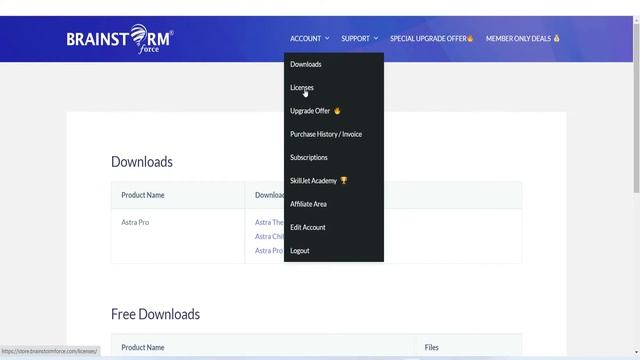 Astra Pro Theme & Plugins Free in Cloudways Wordpress Hosting смотреть онлайн