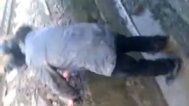 VIDEO0004 смотреть онлайн