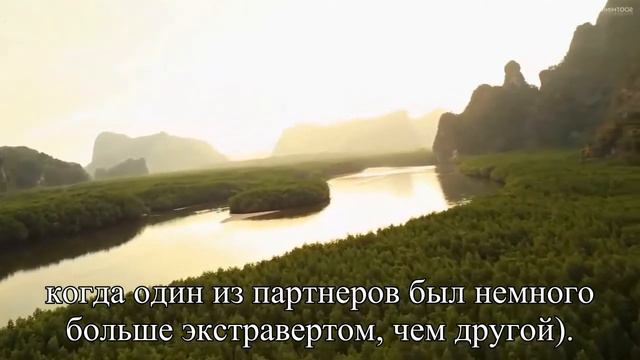 «Мы так похожи, дорогой Почему же нам плохо вместе » — Статья смотреть онлайн
