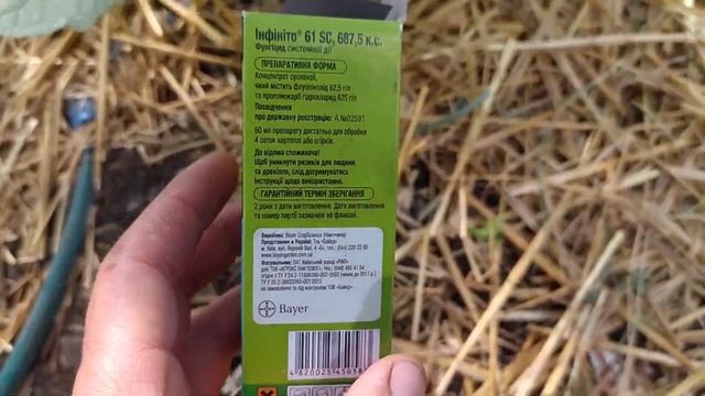 СЕРИЯ (№9)ВТОРОЙ ОБОРОТ ОГУРЦОВ!ЛЕЧЕНИЕ ОГУРЦА ОТ ПЕРОНОСПОРОЗА И КОРНЕВЫЕ ПОДКОРМКИ ОГУРЦА! смотреть онлайн