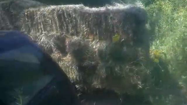 Перевозим сено на ВАЗ 2111 в 2019 году смотреть онлайн