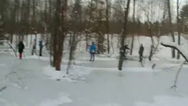 15 11 2009 Булычево бобровый пруд зимой