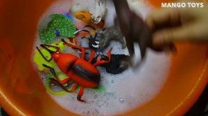 Learn Sea Animals Farm Animals Wild Zoo Animals Names In English For Kids - Mango Toys