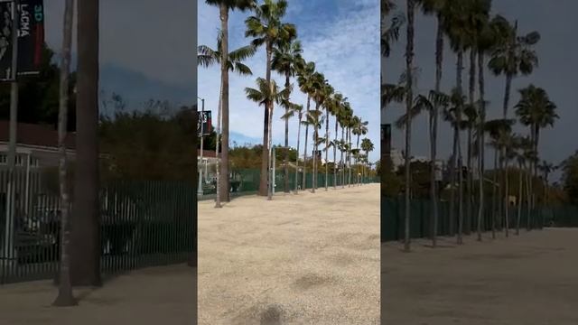 Walking at Los Angeles County Museum of Art (LACMA) and Viewing at the stone (Levitated Mass) смотреть онлайн