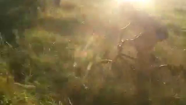 Прыгнул на велосипеде с обрыва смотреть онлайн