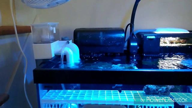 Mirco Aqua M-50 Protein Skimmer Review Part 1 смотреть онлайн