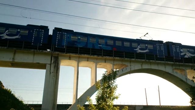 "Рекс" на мосту через Северку, Барыбино смотреть онлайн