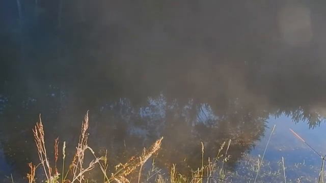 Щука. Хитрости лова или всё что нужно знать при ловле по открытой воде. смотреть онлайн