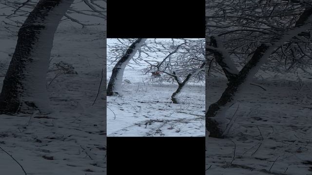 Эндуро смотреть онлайн
