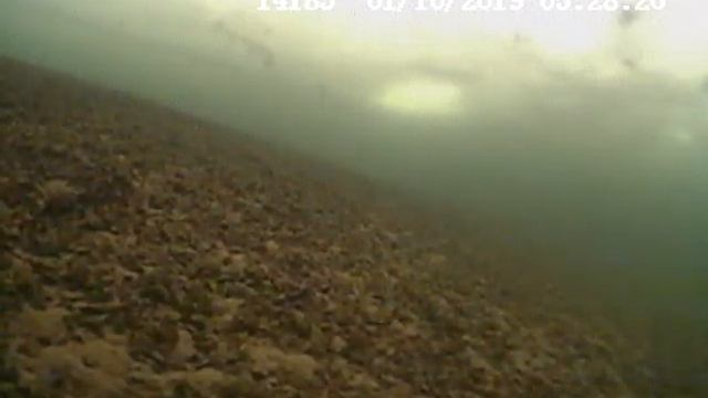 Давление 734мм, русло, глубина 4м - окунь подвижный смотреть онлайн