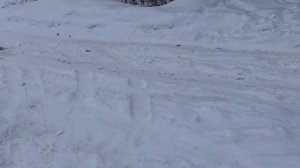 сравнение двигателей ЯМЗ 651 и WP12