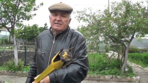 100% удаление сорняков без химии.