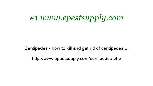 How-To Get Rid Of Centipede Infestation смотреть онлайн