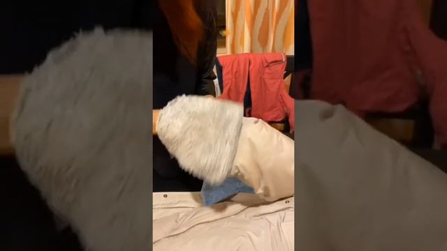 Белый пуховик идеальная чистка смотреть онлайн