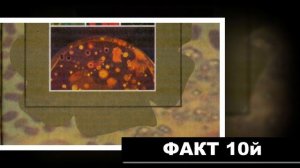 20 интересных фактов. Марианская впадина — океанический глубоководный жёлоб на западе Тихого....