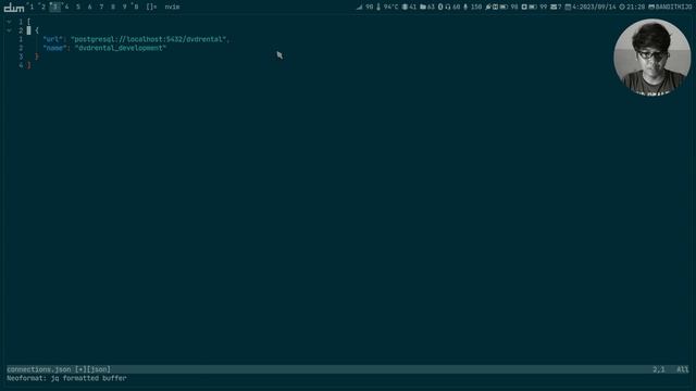 dadbod.vim: Modern database interface for Vim [REVIEW ??] смотреть онлайн