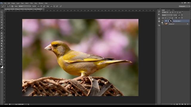 The Basics of Layer Masks in Adobe Photoshop смотреть онлайн