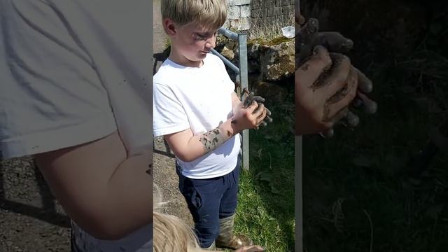 Mud Splat Maths Game - An Outdoor Messy Maths Idea смотреть онлайн