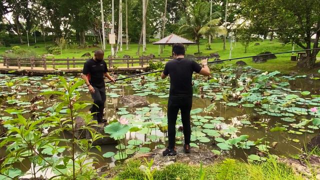 Drone crashes in pond saved by a lotus pad смотреть онлайн