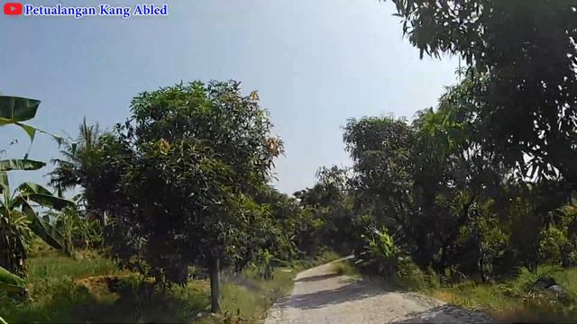JALAN JALAN KE PEDESAAN CANTIK DIBALIK PEGUNUNGAN..JALUR CIANDEU,,KADU,,KINITI,,LEBAKSIUH@petualang смотреть онлайн