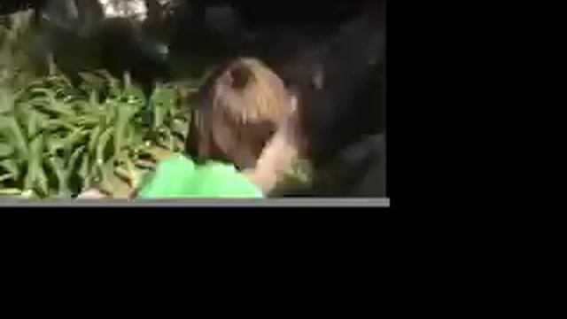 Gabe's Adventure смотреть онлайн