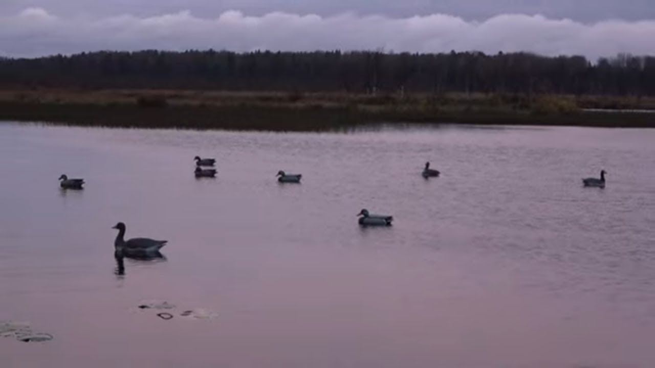 Охота на осеннего гуся\утку #22 Кто-то расстрелял чучела смотреть онлайн