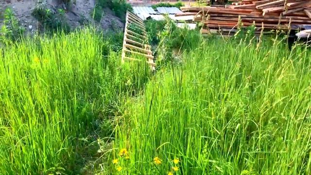 С чего начинается стройка? Первые расходы! смотреть онлайн