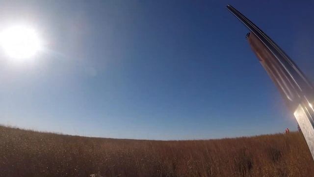 Sweet Point's Setter Tales (S3, E4) Triple Creek Outfitters, Part 4 смотреть онлайн