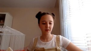 всё  о джунгарских хомяках | содержание, питание, уход . что нужно для появления питомца в доме?