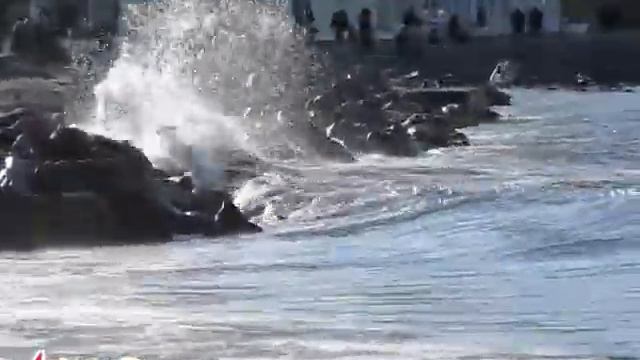 Анапа 2 февраля 2013: море волны птицы люди смотреть онлайн