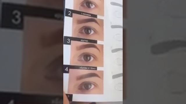Формы бровей #1 - курс для броумастеров