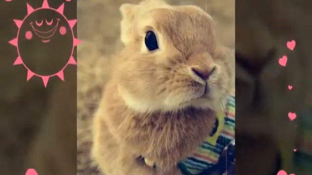 Поставте лайк и подпешиьесь. Было сложно делать!:3 смотреть онлайн