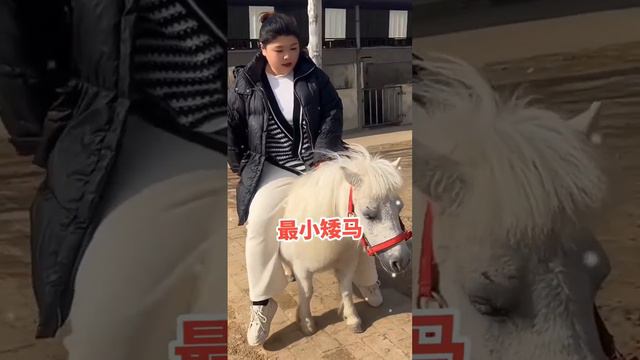 Cutest birthday present смотреть онлайн