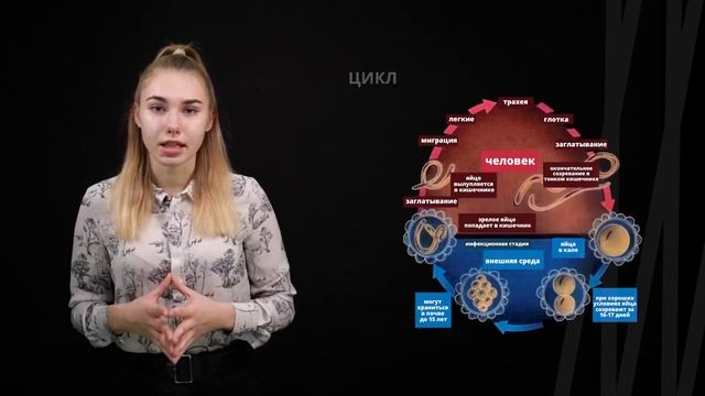 Круглые черви | Биология смотреть онлайн
