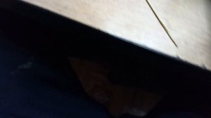 Нет сигнала. Ремонт переключателя рено логан, сандеро, дастер