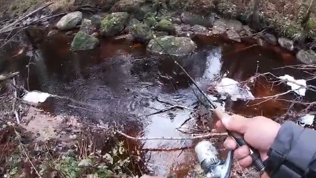 Ловля форели в ручье Карельского перешейка смотреть онлайн