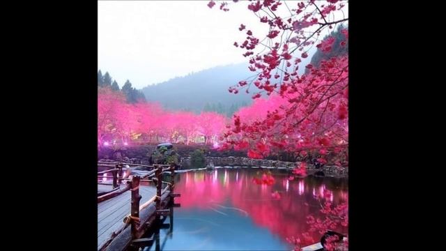 Азы медитации смотреть онлайн