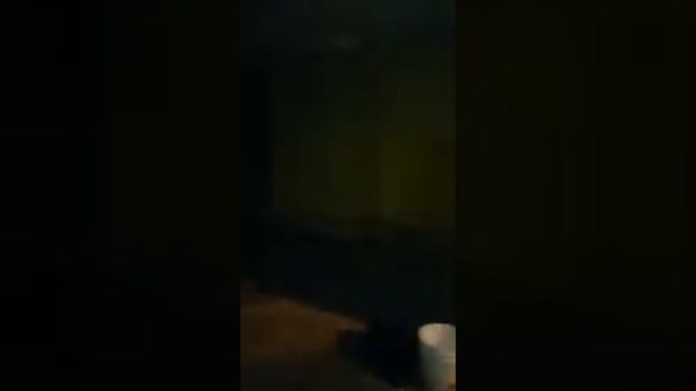 Cade mu diero da buneca смотреть онлайн