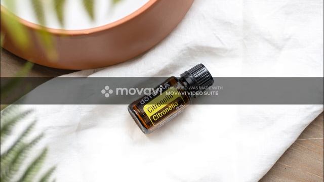 Сitrоnella смотреть онлайн