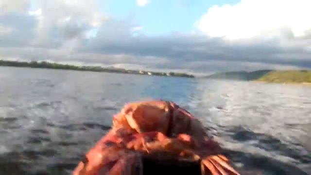 08 09 Ока 8 смотреть онлайн