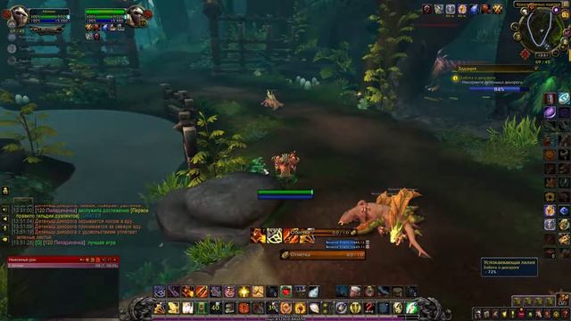 World of Warcraft Battle for Azeroth Забота о дикороге 1080р60HD смотреть онлайн