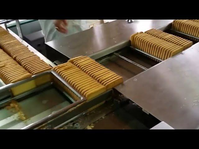 Упаковка сахарного печенья на ребре в пакет типа конверт X Fold с автоподачей в 2 ряда смотреть онлайн