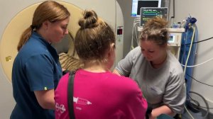 Обследование Тигренка Каталины в Клинике Сотникова! Нужна будет Операция!