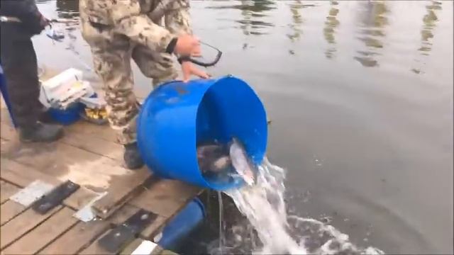 Рыбалка в Подмосковье и Москве(зимняя,летняя) смотреть онлайн