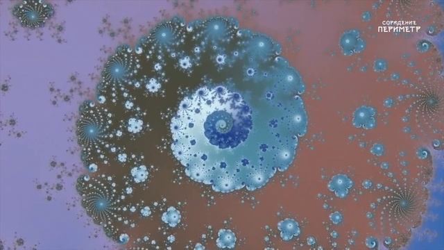 Выжить в матрице #матрица #ХарийскаяЛетопись #Периметр #школаСорадение смотреть онлайн