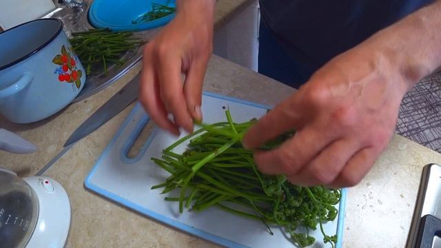 МАЙСКИЙ ДЕЛИКАТЕС - ПАПОРОТНИК ОРЛЯК! Готовлю просто и вкусно! На вкус он почти как ГРИБЫ! смотреть онлайн