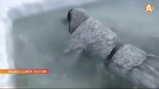 В «Арктике» не холодно и на Северном полюсе, и в ледяной воде! смотреть онлайн