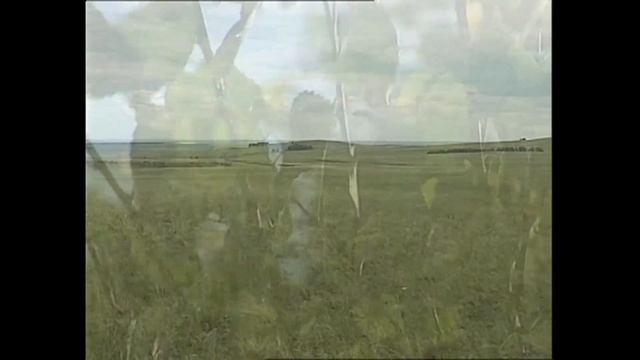 Вспомни, как бывало.. Эх, гуляли мы до зари, да еще было мало! Поет Екатерина Тропникова! смотреть онлайн